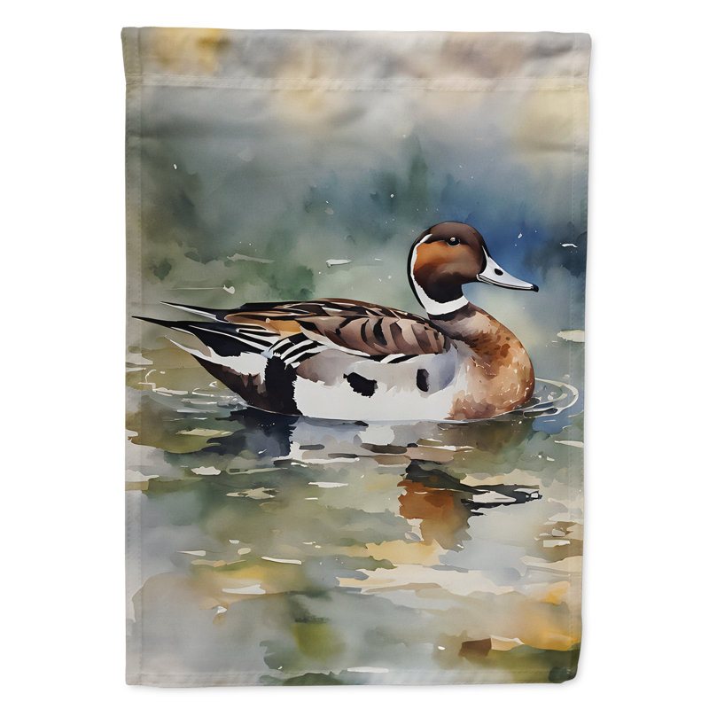 Drapeau du jardin Northern Pintail_DAC3245