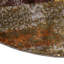 Tapis contemporain de couleur caramel Arabica-446693102