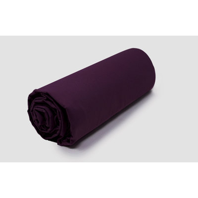 Caymitte 100% Cotton Satin