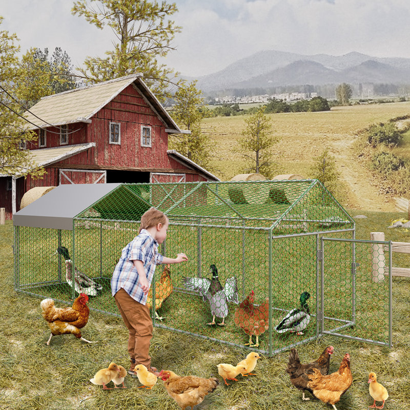 Chicken Run, Silver, 100cm H x 100cm W x 300cm D