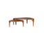 Nesting Coffee Table-934287415