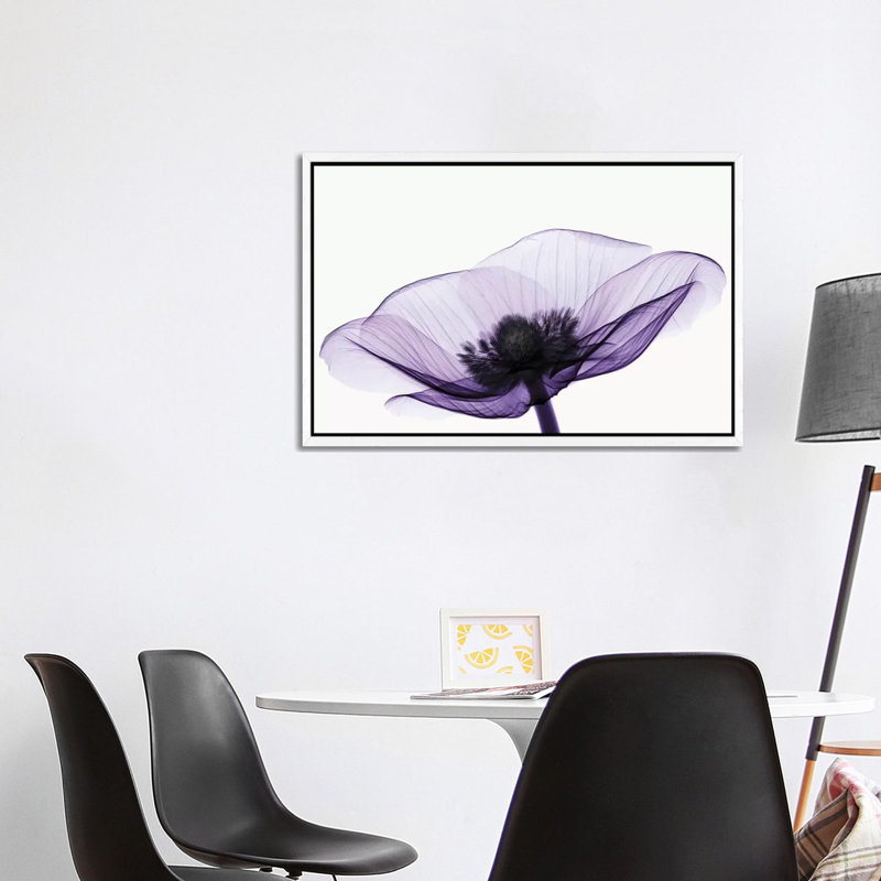 Anemone II - Print on Canvas, 66.04 cm H x 45.72 cm W x 4.445 cm D, White Floater Framed