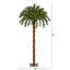 Arbre de Noël vert à plumes tropicales avec lumières DEL-243264158