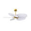 Alessandra Tropical - Five Blade Ceiling Fan - Integrated LED -Matte Black Finish -Light Blue Blades-968184998-968185007