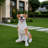 Lifelike Hound Dog Statue
