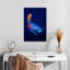 Poisson Betta Brampt-108387426