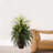Mixed Greens and Cattails with Planter