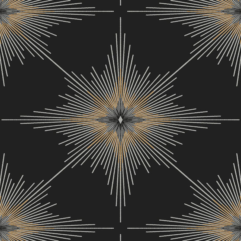 Rouleau de papier peint L 33 pi x l 20,9 po Priyah North Star, Ébène