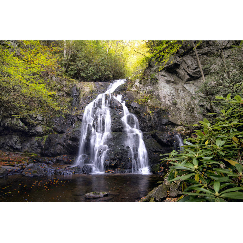 Spruce Flat Falls par Danny Head - photographie sur toile tendue, H 32 po x l 48 po x P 1,25 po