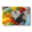A Macaw Parrot - Wrapped Canvas-61854816