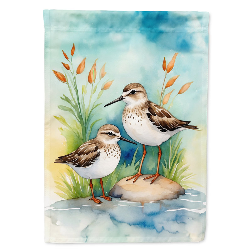Drapeau de jardin Surfbird Bird, Bécasseaux