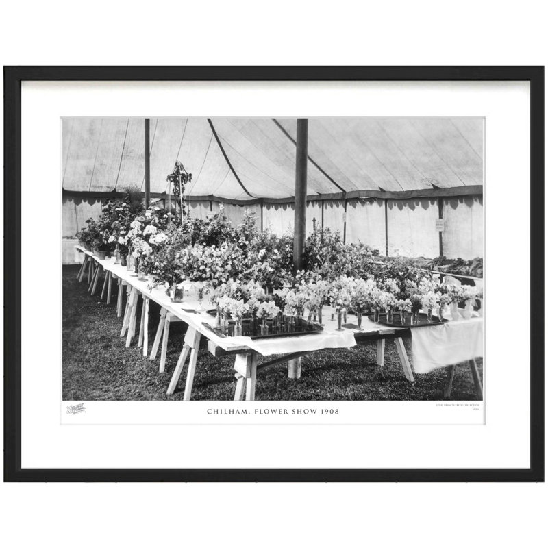 Chilham, Flower Show 1908 - Single Picture Frame Print, 28cm H x 36cm W x 2.3cm D