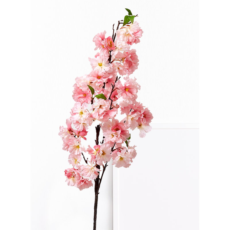 Arrangement de fleurs de cerisier, Rose