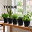 Plant Stand