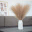 Atoll de 17 po Pampas-469456641