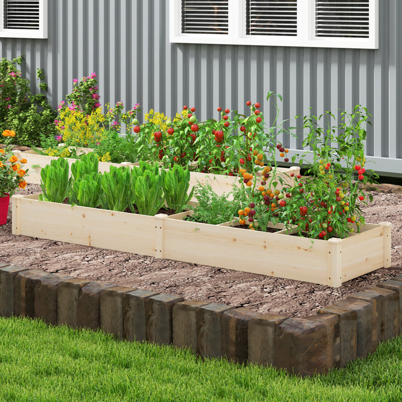 Lit de jardin surélevé en bois avec diviseur à 2 boîtes à fleurs