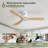 Nicola 52" 3-Blade Ceiling Fan-1789334605