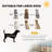 Multi-Shape Play & Training Pen