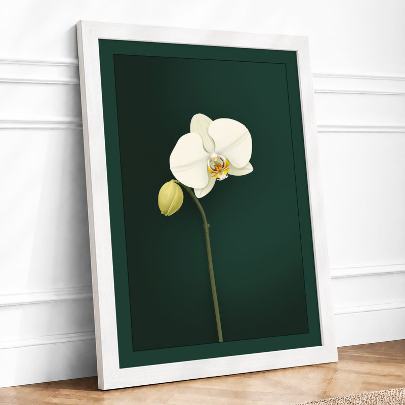 Orchid Study Botanical - Framed Print, A1 - 84.1 x 59.4 cm, White