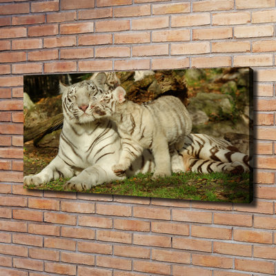 Tigers - Wrapped Canvas Print