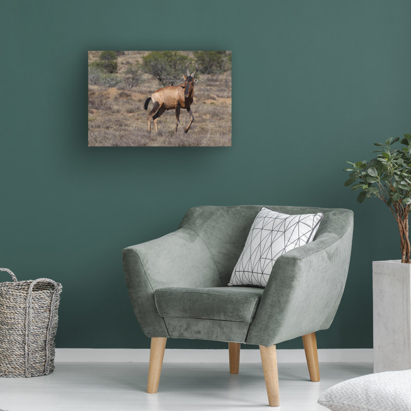 Art sur toile «Bob Bob Langrish», H 12 po x l 19 po