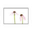 Pale Purple Coneflowers. Marion County, Illinois, USA. 1 Piece Wall Art on Canvas-1906308018-1906308028
