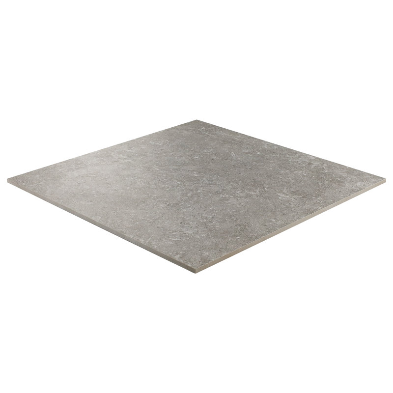 Grava 24" x 24" Matte Porcelain Stone Look Floor &Wall Tile (11.62 SQFT / Box), Fossil