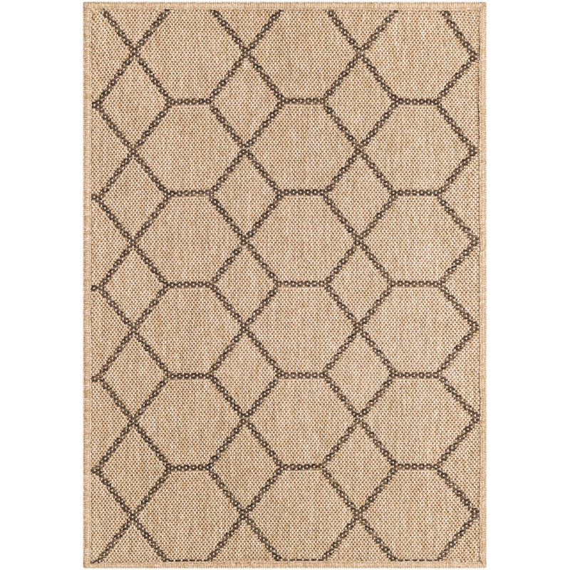 Sheglita Abstract Indoor Rug, Rectangle 2'2" x 3'1"