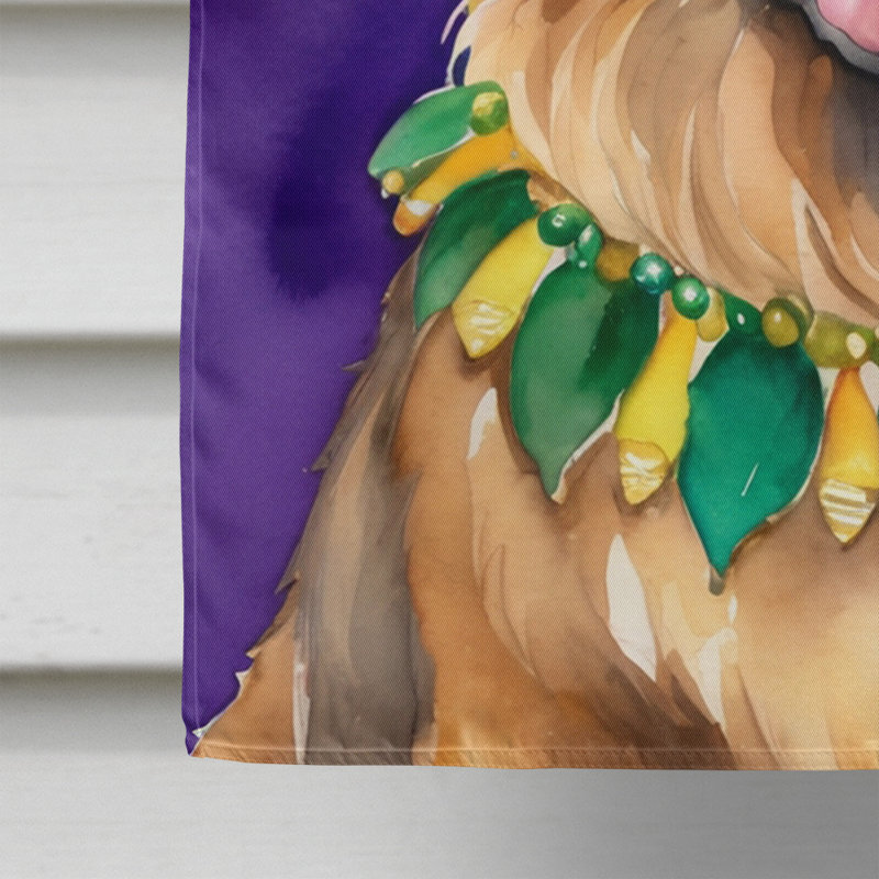 Double Sided 40'' H x 28'' W Polyester Mardi Gras House Flag