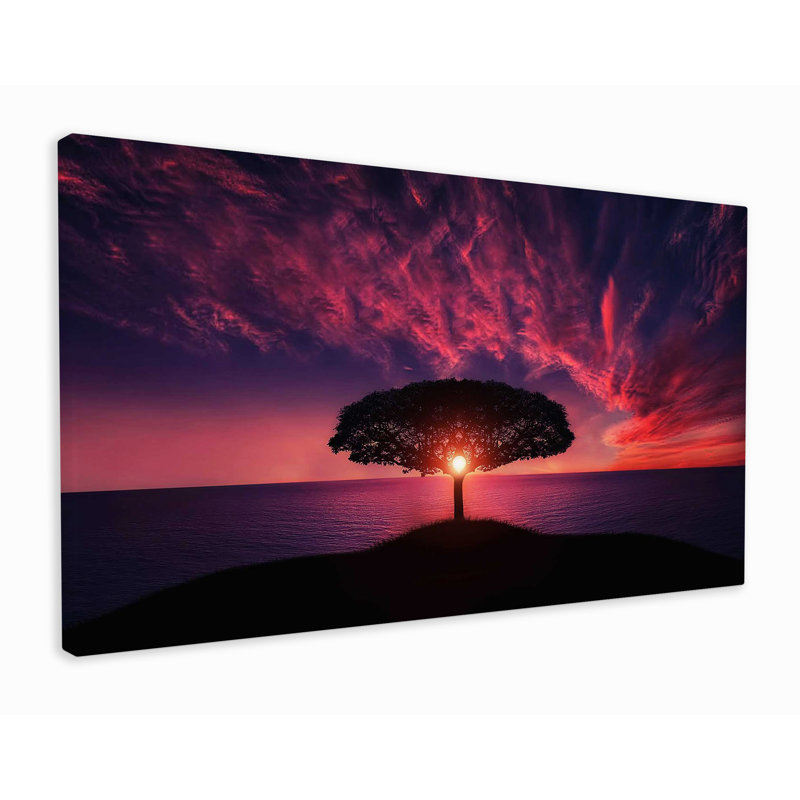 Sun Tree Nature Sunset - Wrapped Canvas Print, 31cm H x 51cm W