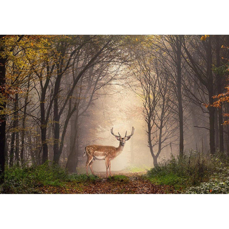 Animal Peel & Stick Border, 66" L x 96" W