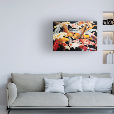 Bolog PETER GOODHALL Dsc 5353 Canvas Art