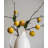 Arrangement-37246784