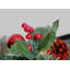 274cm Lighted Faux Pine Garland with Lights