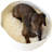Nolea Pet Bed