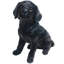 Statue chiot labrador Orbison-733031219