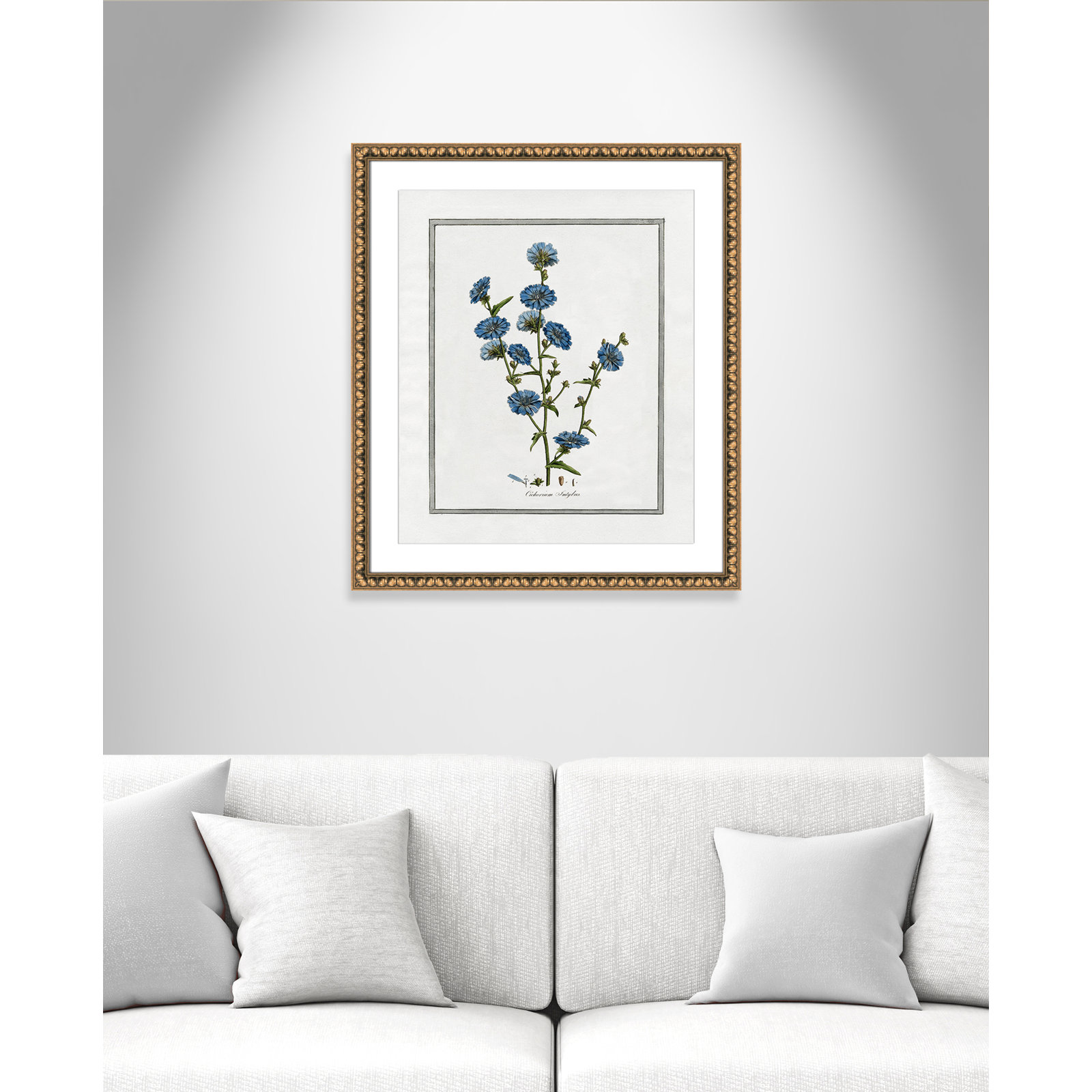 Colombe "Soft Botanical I" Print, Gold Bead Framed, 22.5" W x 26.5" H