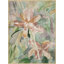 Botanical Drape 2