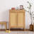 Double-Door Multi-Tier Shoe Storage Cabinet