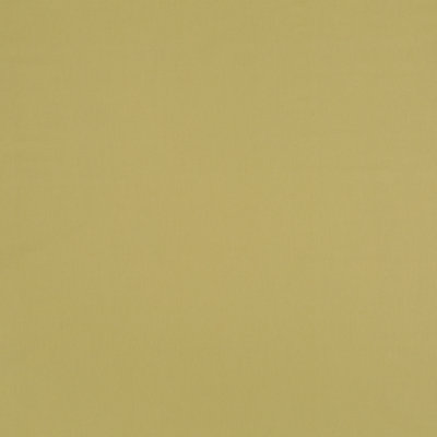 Robert Allen @Home Stellar 100% Cotton Fabric