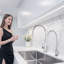 VEVOR Kitchen Faucet Side Spray-516438102