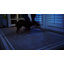 Nettoyeur de tapis Hoover FH50700 PowerDash
