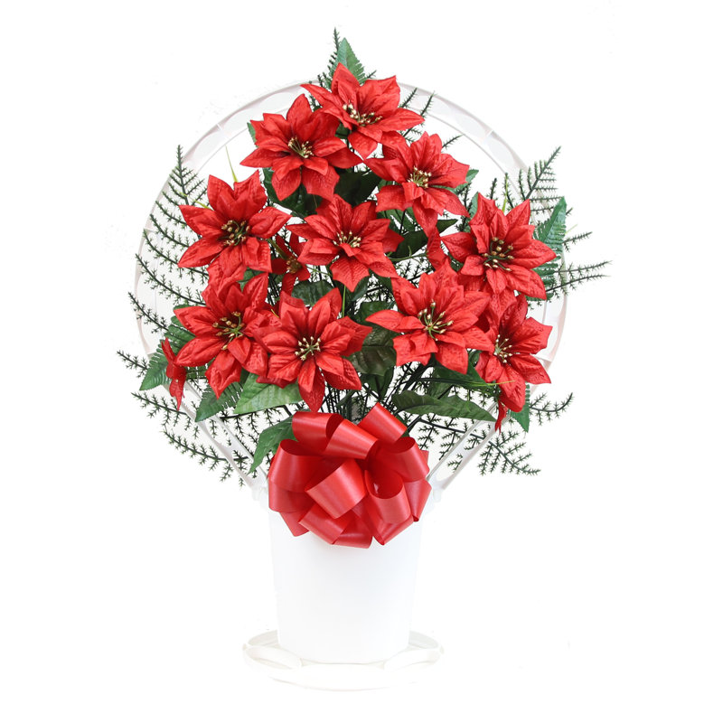 Poinsettia de Noël dans un panier, Bourgogne