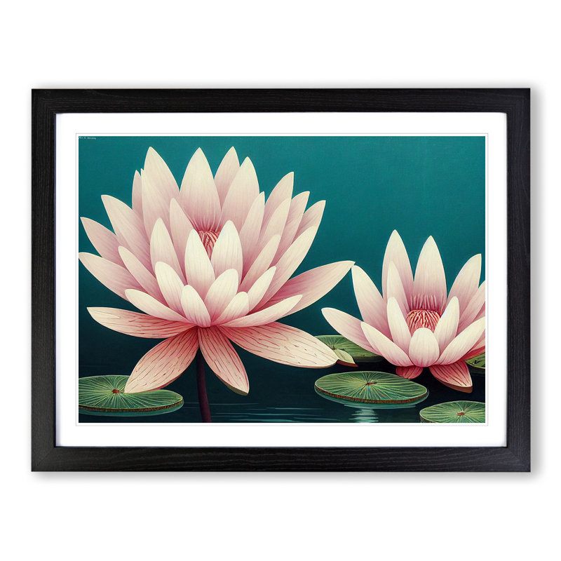 Enchanting Water Lily Flowers - Single Picture Frame Print, 25cm H x 34cm W x 2cm D, Black Framed