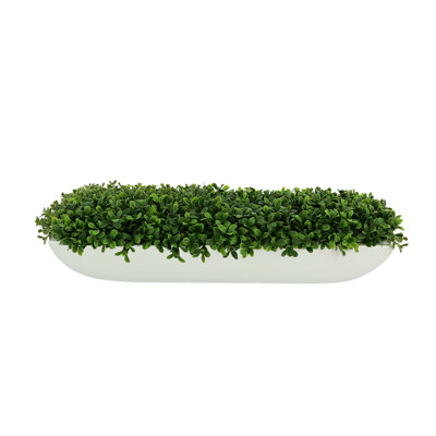 UV Rated Outdoor Boxwood Arrangement