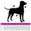 Pet Carrier-184380497-184380501