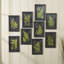 Fern Botanical