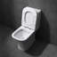 Close Coupled Toilet 