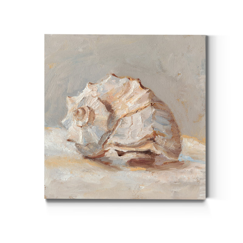 " Impressionist Shell Study II ", 10" H x 10" W x 1.5" D