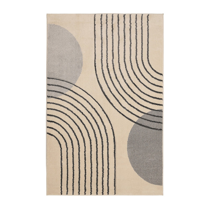 Takaiyah Oriental Area Rug, Rectangle 120 x 170cm